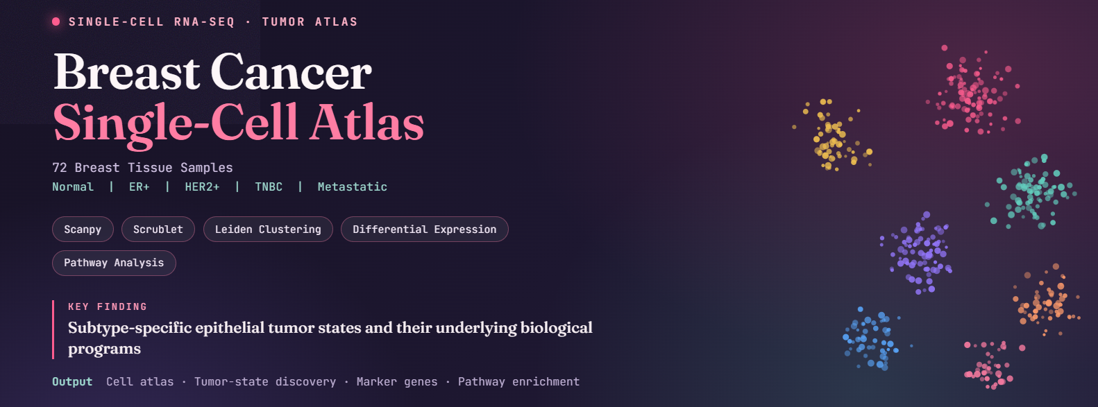 Breast-cancer single-cell atlas