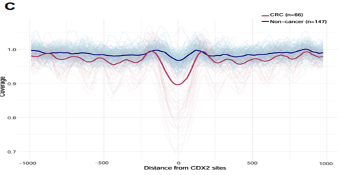 Coverage around CDX2 sites