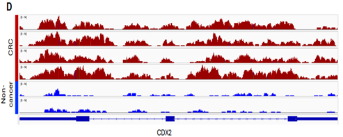 CDX2 genomic tracks