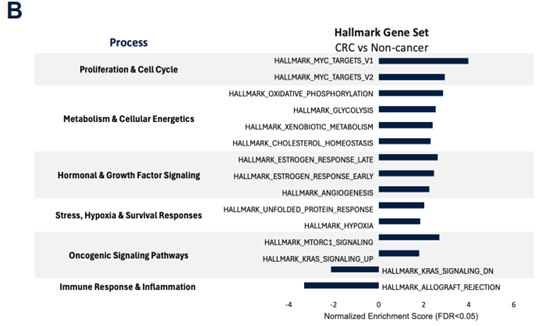 Hallmark enrichment: CRC vs non-cancer