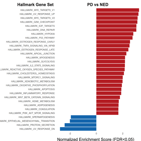 Hallmark enrichment: PD vs NED