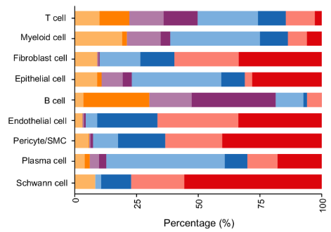 Cell composition across study groups