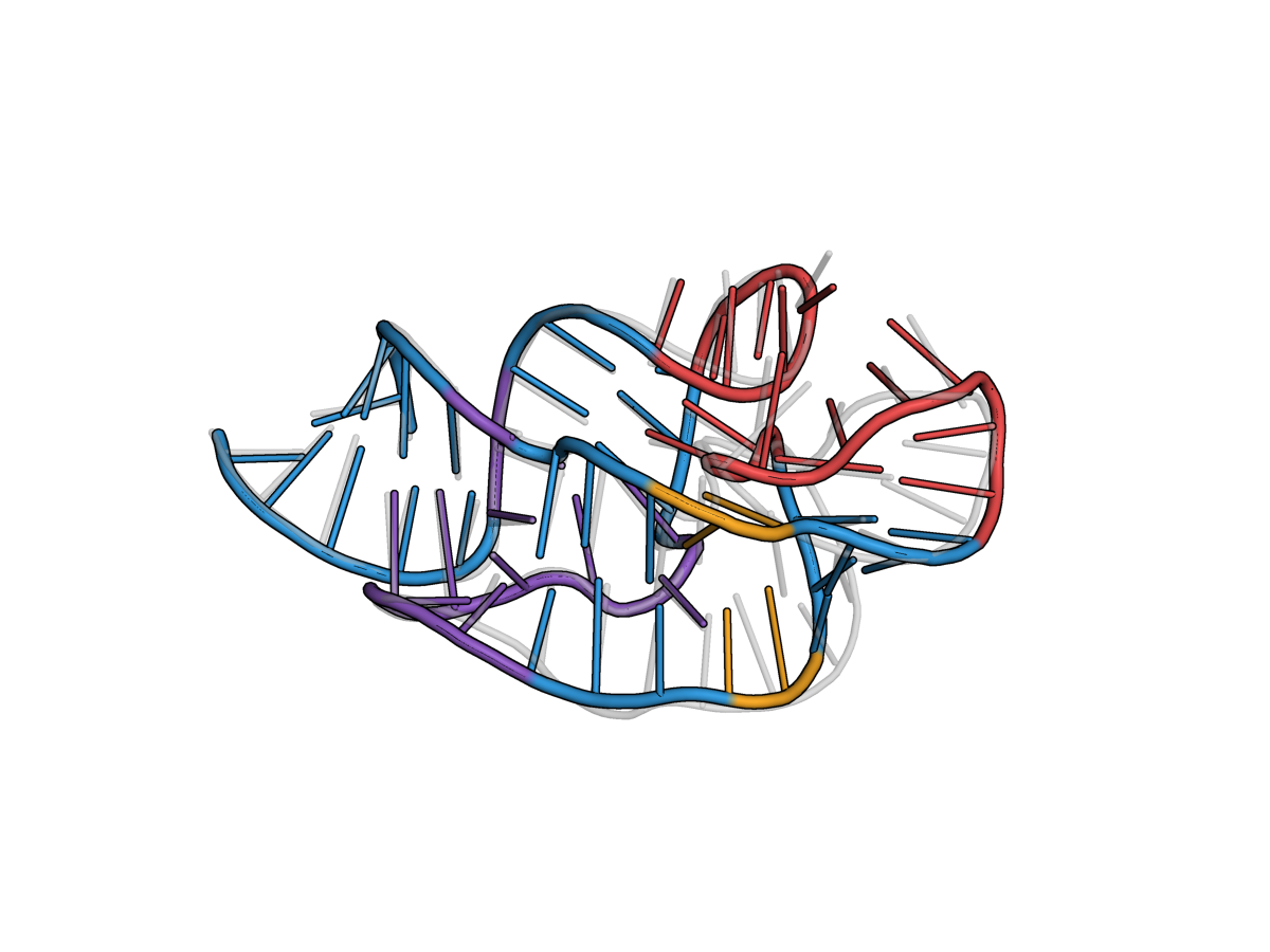 RNA structural overlay