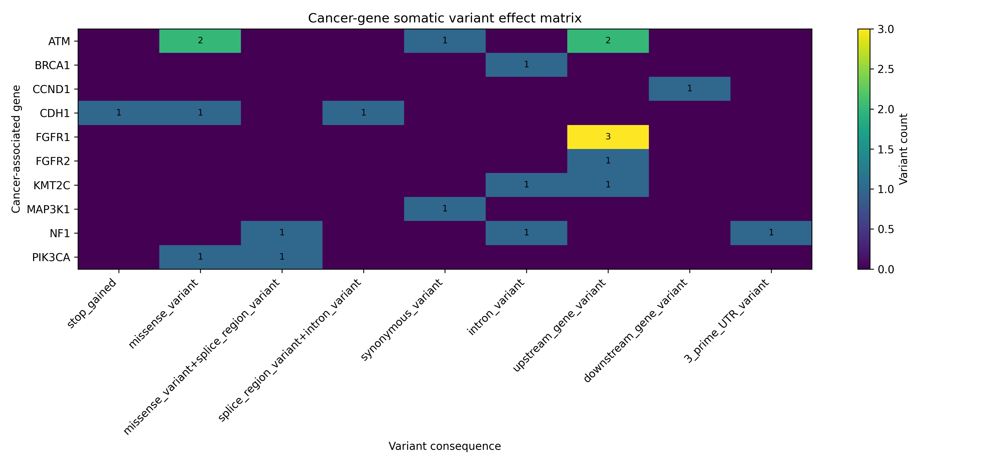 Cancer-gene variant consequences