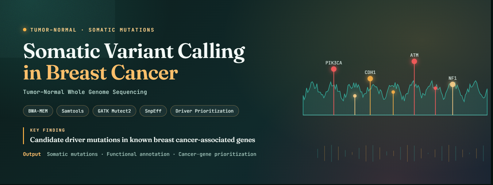 Tumor–normal somatic variant analysis